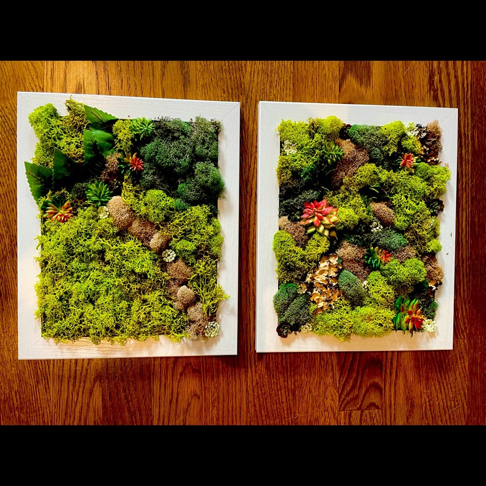 Handmade moss wall art